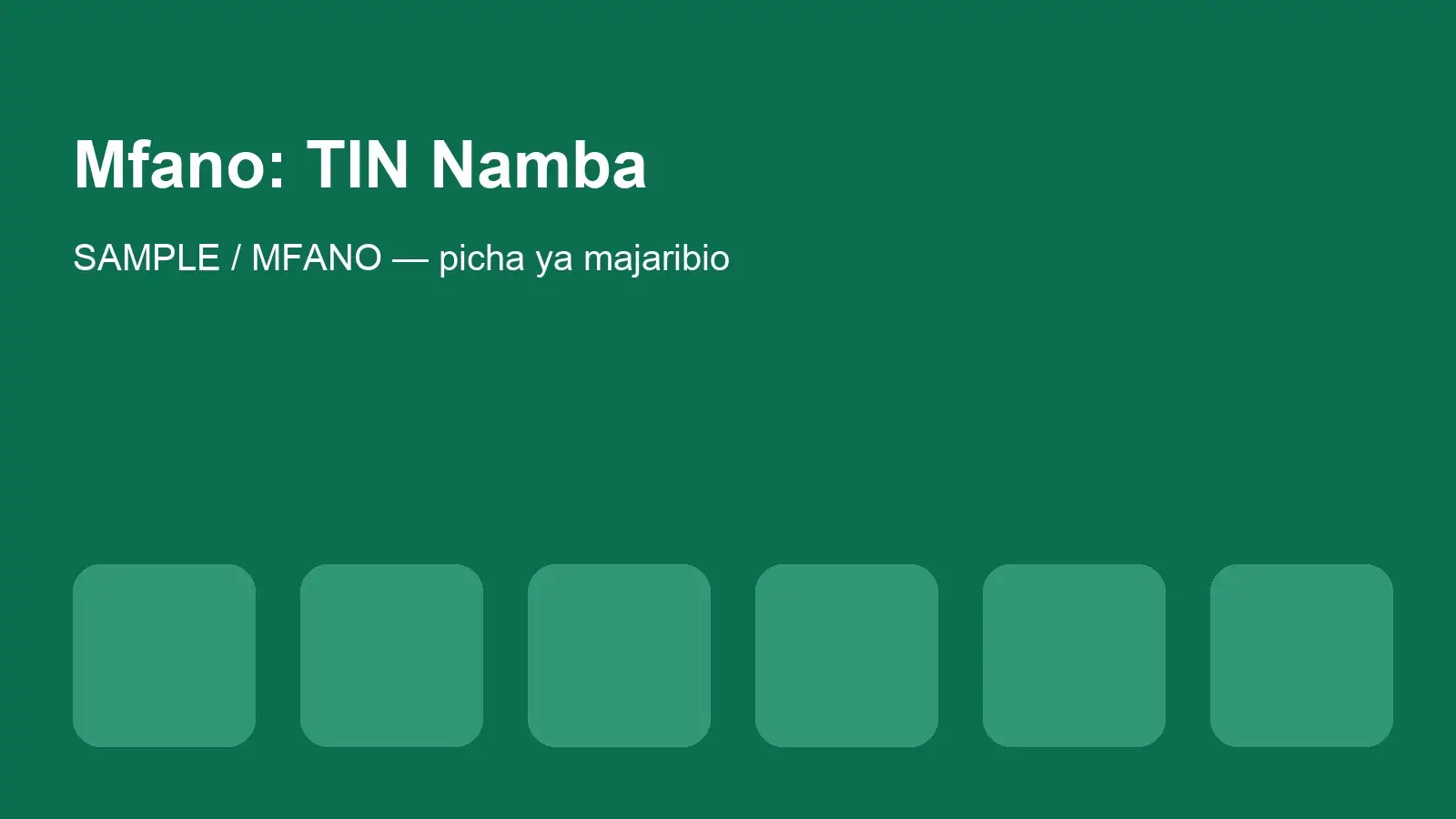 Sample cover image reading 'Mfano: TIN Namba'